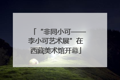 “非同小可——李小可艺术展”在西藏美术馆开幕