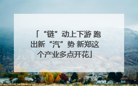 “链”动上下游 跑出新“汽”势 新郑这个产业多点开花