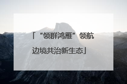 “领群鸿雁”领航边境共治新生态