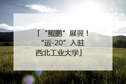 “鲲鹏”展翼！“运-20”入驻西北工业大学