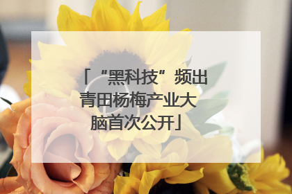 “黑科技”频出 青田杨梅产业大脑首次公开