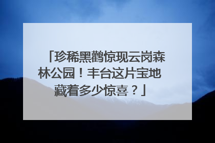 珍稀黑鹳惊现云岗森林公园！丰台这片宝地藏着多少惊喜？