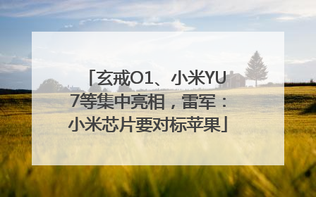 玄戒O1、小米YU7等集中亮相，雷军：小米芯片要对标苹果