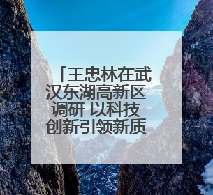 王忠林在武汉东湖高新区调研 以科技创新引领新质生产力发展 加快打造具有全国影响力的科技创新高地