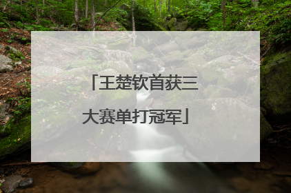 王楚钦首获三大赛单打冠军