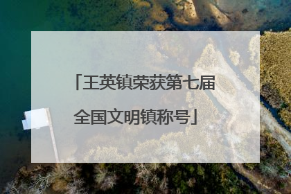 王英镇荣获第七届全国文明镇称号