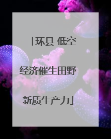 环县 低空经济催生田野新质生产力