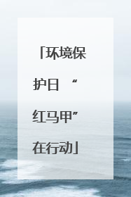 环境保护日 “红马甲”在行动