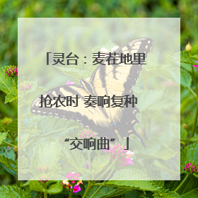 灵台：麦茬地里抢农时 奏响复种“交响曲”