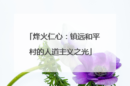 烽火仁心：镇远和平村的人道主义之光