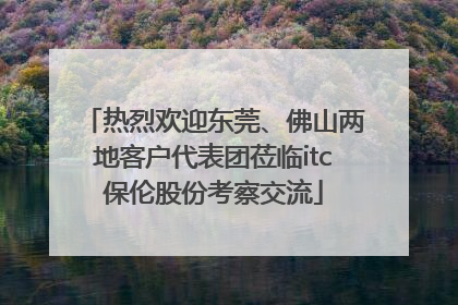 热烈欢迎东莞、佛山两地客户代表团莅临itc保伦股份考察交流