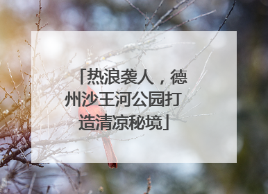 热浪袭人，德州沙王河公园打造清凉秘境