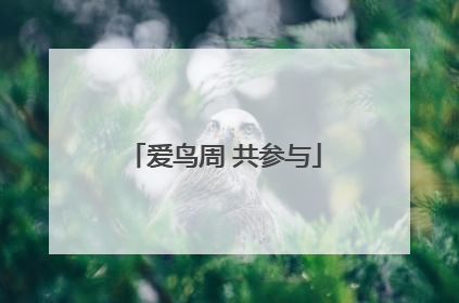 爱鸟周 共参与