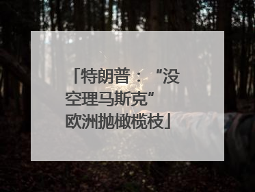 特朗普：“没空理马斯克” 欧洲抛橄榄枝