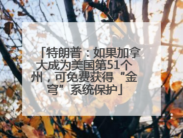 特朗普：如果加拿大成为美国第51个州，可免费获得“金穹”系统保护