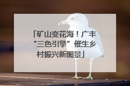 矿山变花海！广丰“三色引擎”催生乡村振兴新图景