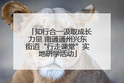 知行合一汲取成长力量 南通通州兴东街道“行走课堂”实地研学活动
