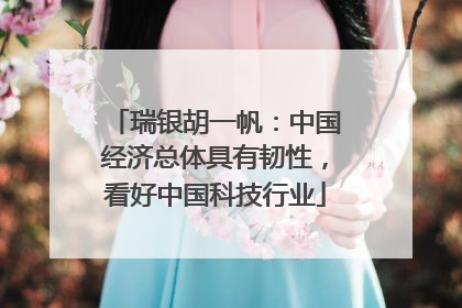 瑞银胡一帆：中国经济总体具有韧性，看好中国科技行业