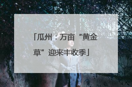 瓜州：万亩“黄金草”迎来丰收季