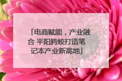 电商赋能，产业融合 平阳腾蛟打造笔记本产业新高地