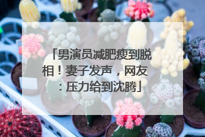 男演员减肥瘦到脱相！妻子发声，网友：压力给到沈腾