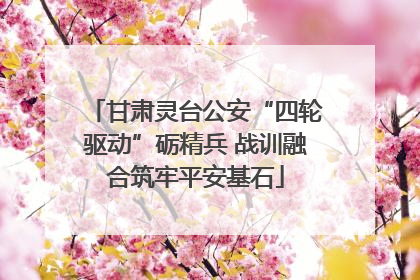 甘肃灵台公安“四轮驱动”砺精兵 战训融合筑牢平安基石