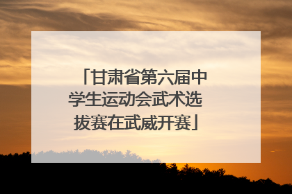 甘肃省第六届中学生运动会武术选拔赛在武威开赛