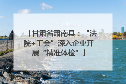 甘肃省肃南县：“法院+工会”深入企业开展“精准体检”