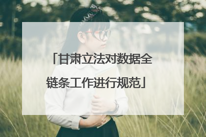 甘肃立法对数据全链条工作进行规范