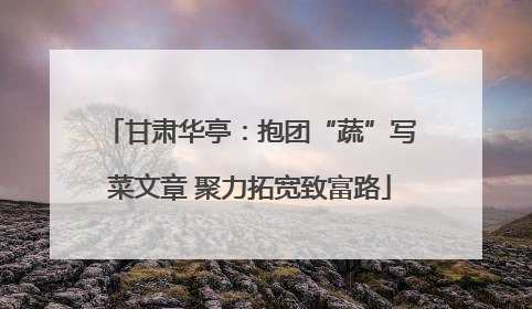 甘肃华亭：抱团“蔬”写菜文章 聚力拓宽致富路
