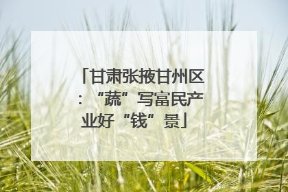甘肃张掖甘州区：“蔬”写富民产业好“钱”景