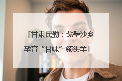 甘肃民勤：戈壁沙乡孕育“甘味”领头羊