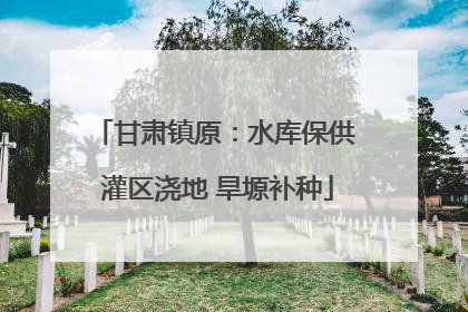甘肃镇原：水库保供 灌区浇地 旱塬补种