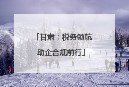 甘肃：税务领航 助企合规前行