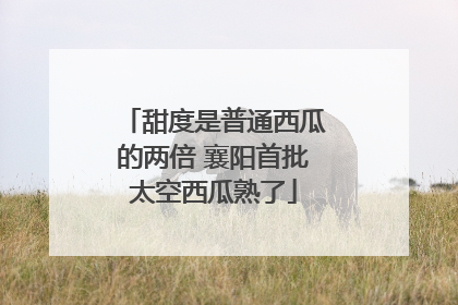 甜度是普通西瓜的两倍 襄阳首批太空西瓜熟了
