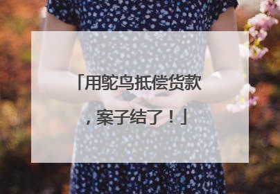 用鸵鸟抵偿货款，案子结了！
