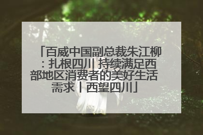 百威中国副总裁朱江柳：扎根四川 持续满足西部地区消费者的美好生活需求丨西望四川