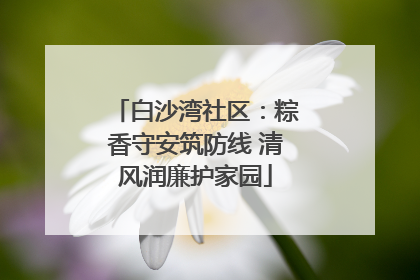 白沙湾社区：粽香守安筑防线 清风润廉护家园