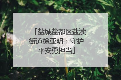 盐城盐都区盐渎街道徐亚明：守护平安勇担当