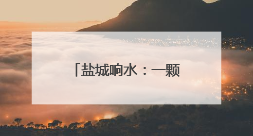 盐城响水：一颗西兰花如何变成“致富花”？