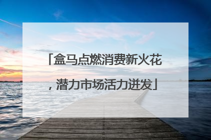 盒马点燃消费新火花，潜力市场活力迸发
