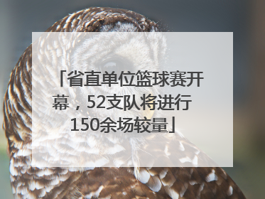 省直单位篮球赛开幕，52支队将进行150余场较量