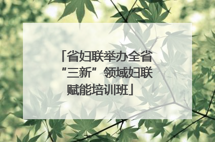 省妇联举办全省“三新”领域妇联赋能培训班