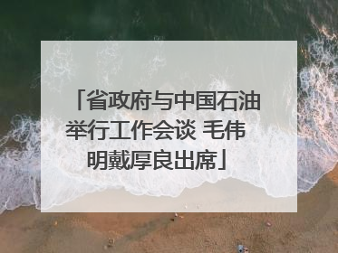 省政府与中国石油举行工作会谈 毛伟明戴厚良出席