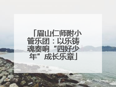 眉山仁师附小管乐团：以乐铸魂奏响“四好少年”成长乐章