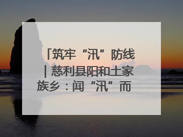 筑牢“汛”防线｜慈利县阳和土家族乡：闻“汛”而动 全员下沉筑牢防汛“安全堤”