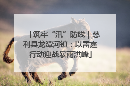 筑牢“汛”防线｜慈利县龙潭河镇：以雷霆行动迎战暴雨洪峰