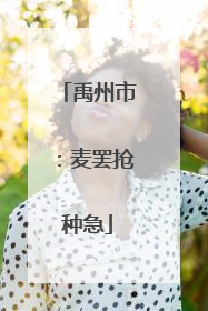 禹州市：麦罢抢种急