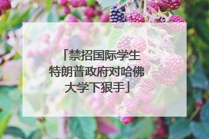 禁招国际学生 特朗普政府对哈佛大学下狠手