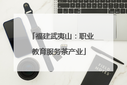 福建武夷山：职业教育服务茶产业